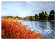Bilder aus dem schönen Harz (Wandkalender 2024 DIN A2 quer), CALVENDO Monatskalender - Abbildung 11