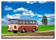 Historische und moderne Busse (Wandkalender 2024 DIN A4 quer), CALVENDO Monatskalender - Illustrationen 11