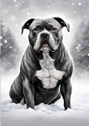 Hund Notizbuch American Bully Winterzeit Notizheft mit 55 Zitaten Lebensweisheiten Hundeliebe Geschenk Hundefreund Weihnachten, zum Wichteln, Adventszeit, Nikolaustag, Wichtelgeschenk unter 15 Euro