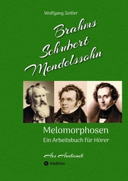 Brahms, Schubert, Mendelssohn: Melomorphosen - Früchte der Musikmeditation, sichtbar gemachte Informationsmatrix ausgewählter Musikstücke, Gestaltwerkzeuge für Musikhörer; ohne Verwendung von Noten