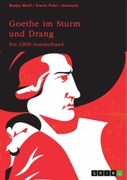 Goethe im Sturm und Drang. Motive und Sprache in Lyrik und Drama - Cover
