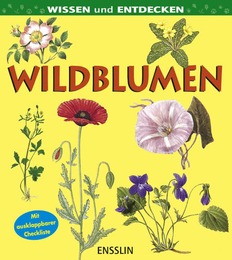 Wildblumen