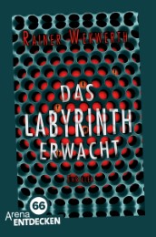 Das Labyrinth erwacht - Cover