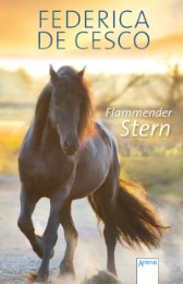 Flammender Stern - Cover