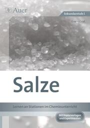 Salze - Lernen an Stationen im Chemieunterricht - Cover