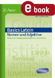 Basics Latein Nomen und Adjektive - Cover