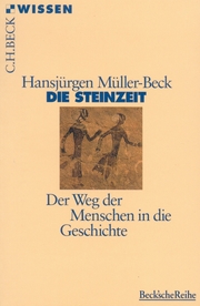 Die Steinzeit - Cover
