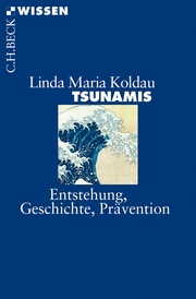 Tsunamis - Cover