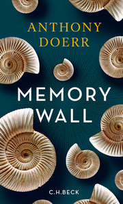 Memory Wall - Cover