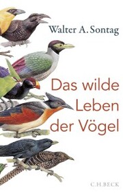 Das wilde Leben der Vögel