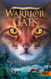 Warrior Cats - Wütender Sturm