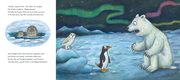 Ponti Pento - Die Abenteuer eines Pinguins - Abbildung 2