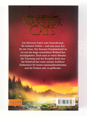 Warrior Cats - Vision von Schatten: Fluss aus Feuer - Abbildung 1