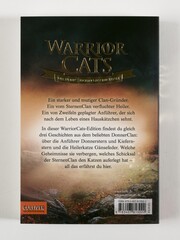 Warrior Cats - Die unerzählten Geschichten - Abbildung 1