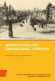 Interkulturalität, Übersetzung, Literatur - Cover
