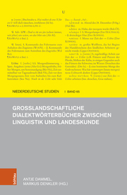 Grosslandschaftliche Dialektwörterbücher zwischen Linguistik und Landeskunde - Cover