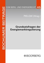 Grundsatzfragen der Energiemarktregulierung