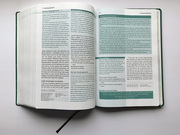 Die Bibel mit Impulsen von Joyce Meyer - Abbildung 2