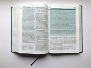 Die Bibel mit Impulsen von Joyce Meyer - Abbildung 3
