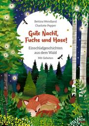 Gute Nacht, Fuchs und Hase! - Cover