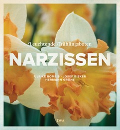 Narzissen - Cover