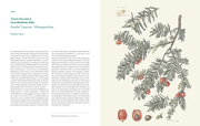 Die Kunst der botanischen Illustration - Illustrationen 1