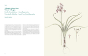 Die Kunst der botanischen Illustration - Illustrationen 2