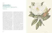 Die Kunst der botanischen Illustration - Illustrationen 4