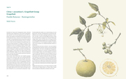 Die Kunst der botanischen Illustration - Illustrationen 5