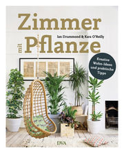 Zimmer mit Pflanze - Cover