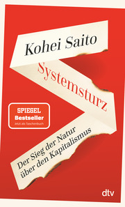 Systemsturz - Cover