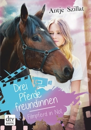 Drei Pferdefreundinnen - Filmpferd in Not - Cover