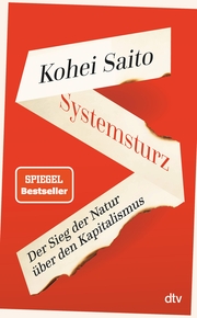 Systemsturz - Cover