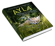 Ayla - meine ungewöhnliche Freundschaft mit einem jungen Fuchs - Abbildung 1