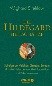 Die Hildegard-Heilschätze - Cover