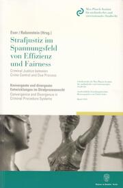 Strafjustiz im Spannungsfeld von Effizienz und Fairness - Criminal Justice between Crime Control and Due Process.