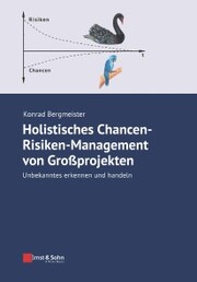 Holistisches Chancen-Risiken-Management von Grossprojekten - Cover