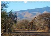 Tansania - Faszinierendes Afrika (Wandkalender 2025 DIN A4 quer), CALVENDO Monatskalender - Abbildung 6