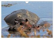 Tansania - Faszinierendes Afrika (Wandkalender 2025 DIN A4 quer), CALVENDO Monatskalender - Abbildung 7
