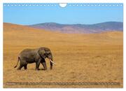 Tansania - Faszinierendes Afrika (Wandkalender 2025 DIN A4 quer), CALVENDO Monatskalender - Abbildung 13
