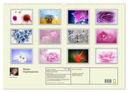 Blüten Impressionen (Wandkalender 2025 DIN A2 quer), CALVENDO Monatskalender - Abbildung 1