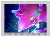 Blüten Impressionen (Wandkalender 2025 DIN A2 quer), CALVENDO Monatskalender - Abbildung 5
