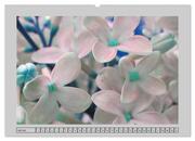 Blüten Impressionen (Wandkalender 2025 DIN A2 quer), CALVENDO Monatskalender - Abbildung 9