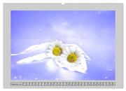 Blüten Impressionen (Wandkalender 2025 DIN A2 quer), CALVENDO Monatskalender - Abbildung 11
