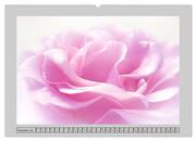Blüten Impressionen (Wandkalender 2025 DIN A2 quer), CALVENDO Monatskalender - Abbildung 14