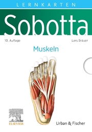 Sobotta Lernkarten Muskeln - Cover