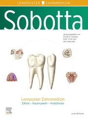 Sobotta Lernposter Zahnmedizin - Cover