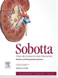 Sobotta: Atlas der Anatomie des Menschen 6 - Cover