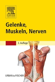 Gelenke, Muskeln, Nerven - Cover