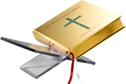 Die Wiedmann Bibel - ART-Edition Premium, gold - Abbildung 8
